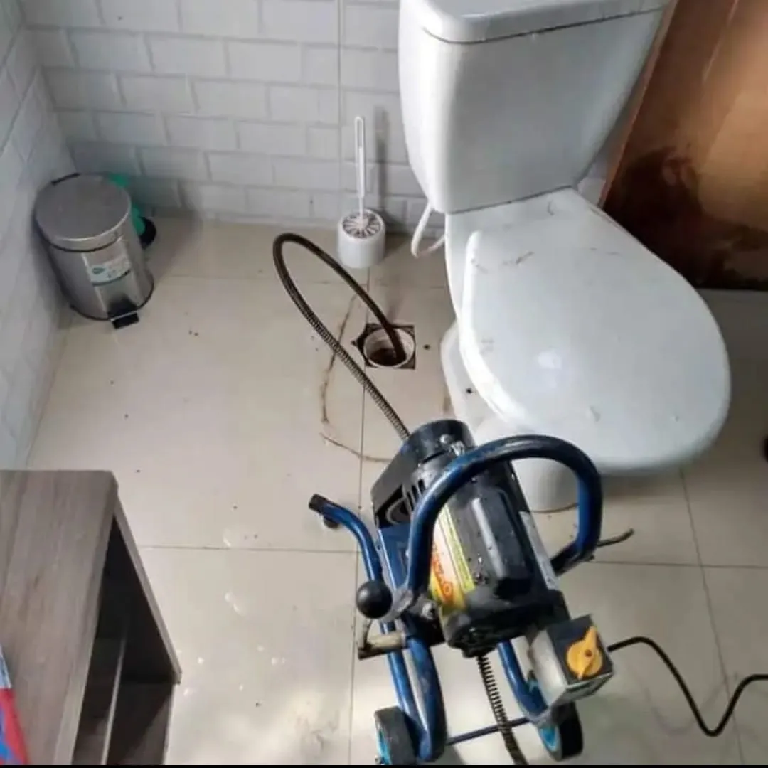 Sinais de vaso sanitário entupido